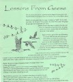 Lessons From Geese